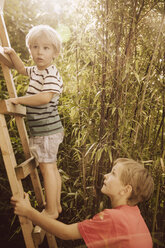 Zwei Jungen klettern auf einer Holzleiter in einem Bambusgarten - MFF001896