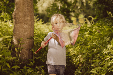 Kleiner Junge fängt Schmetterlinge in einem Wald - MFF001906