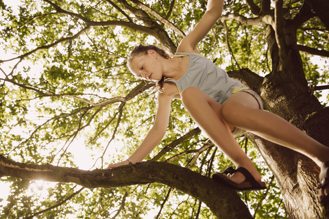 Girl climbing through the branches of a tree stock photo