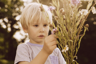 Boy looking at bunch of thistles and meadow flowers - MFF001912