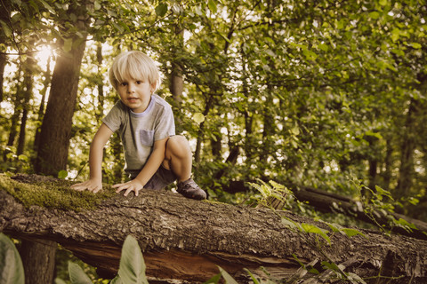 Junge klettert an umgestürztem Baum im Wald entlang, lizenzfreies Stockfoto