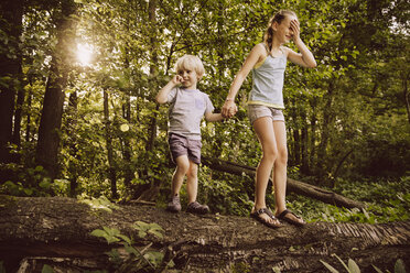 Little boy and girl balancing on fallen tree in forest - MFF001926
