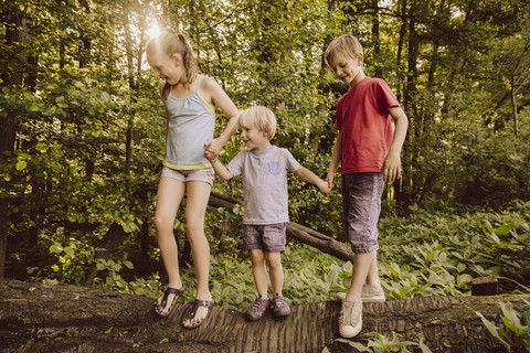 Drei Kinder balancieren auf einem umgestürzten Baum im Wald, lizenzfreies Stockfoto