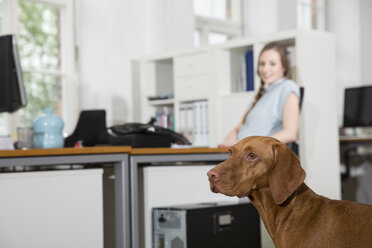 Hund und Frau im Büro - FKF001339