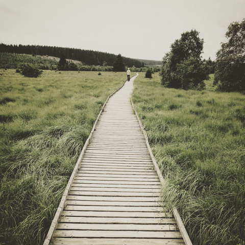 Belgien, Hohes Venn, Holzpromenade, lizenzfreies Stockfoto