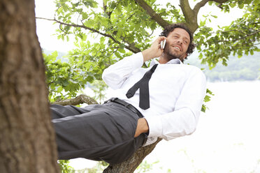Germany, relaxed businessman lying in tree telephoning - MFRF000264
