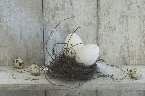 Easter eggs, quall eggs and Easter nest on wooden shelf - ASF005639