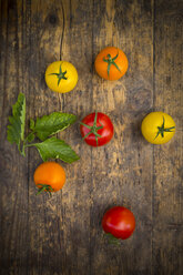 Six different tomatoes on wood - LVF003708