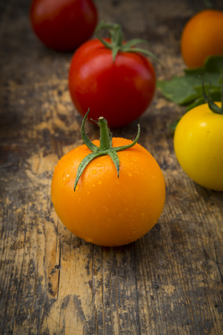 Verschiedene Tomaten auf Holz, lizenzfreies Stockfoto