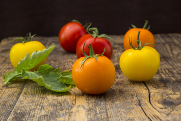 Verschiedene Tomaten auf Holz - LVF003711