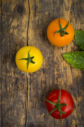 Three different tomatoes on wood - LVF003712