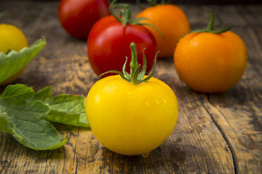 Gelbe Tomate auf Holz - LVF003714