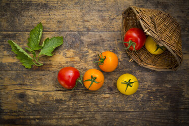 Weidenkorb und verschiedene Tomaten auf Holz - LVF003718