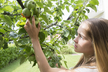 Teenager-Mädchen pflückt einen Apfel in einem Garten - SGF001793