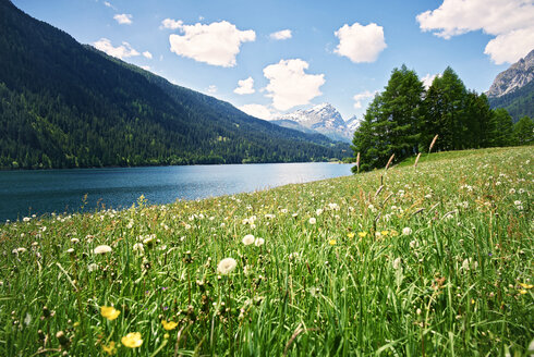 Switzerland, Grisons, Sufers, Sufnersee and flower meadow - DIKF000164