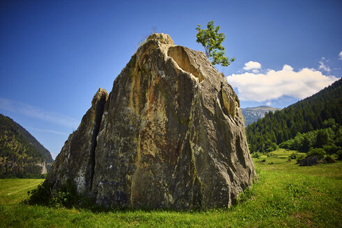 Schweiz, Graubünden, Zillis, großer Felsbrocken und kleiner Baum - DIKF000165