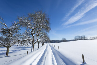 Germany, Bavaria, Road covered in deep snow - HSIF000363