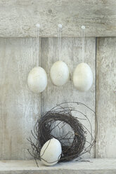 Ostereier und Nest vor einem Holzregal - ASF005640