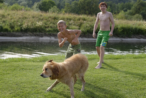 Zwei Jungen und ein Golden Retriever nach dem Baden - LBF001148