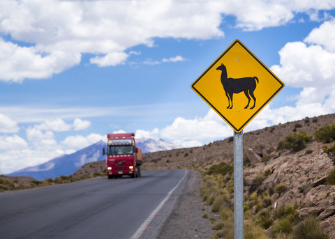 Chile, Lauca National Park, Tierzeichen kreuzende Lamas, lizenzfreies Stockfoto