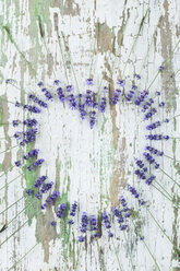 Fresh lavender flowers in heart shape on wood - ASF005647