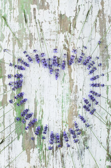 Frische Lavendelblüten in Herzform auf Holz - ASF005647