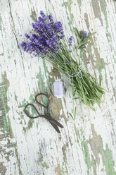 Strauß frischer Lavendelblüten auf Holz, Schere und Schnur - ASF005648