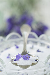 Lavendelzucker auf Löffel, Glasschale, frische Lavendelblüten - ASF005653
