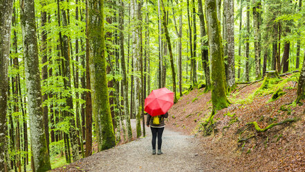 Deutschland, Bayern, Allgäu, Frau mit rotem Regenschirm auf Waldweg - WGF000686