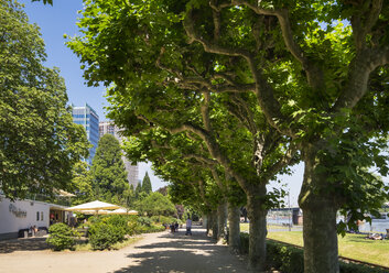 Deutschland, Frankfurt, Uferpromenade am Main - SIE006651