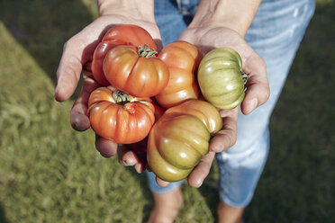 Nahaufnahme einer Frau mit Fleischtomaten im Garten - RHF001006