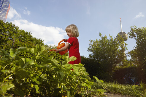 Kleines Mädchen bewässert Pflanzen im Garten - RHF001016