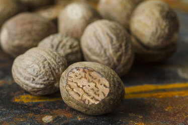 Nutmegs - ODF001161