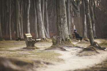 Germany, Nienhagen, empty bench in the woods and man sitting in the background - ASC000246