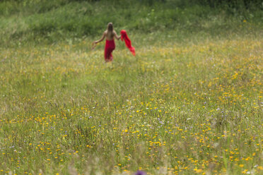 Blumenfeld mit Frau im roten Kleid im Hintergrund - TCF004769
