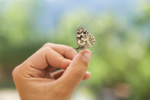 Schmetterling auf der Hand einer Frau, lizenzfreies Stockfoto