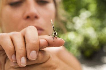 Schmetterling auf der Hand einer Frau - TCF004773