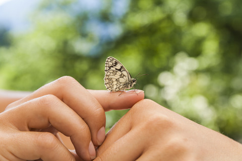 Schmetterling auf der Hand einer Frau, lizenzfreies Stockfoto