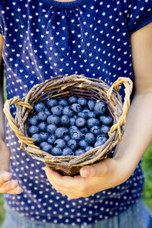 Little girl holding wickerbasket of blueberries - LVF003738