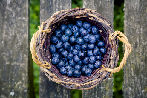 Wickerbasket of blueberries - LVF003742