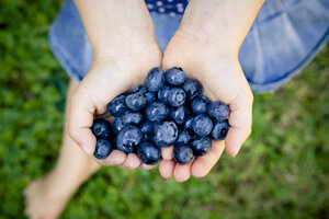 Little girl's hands holding blueberries - LVF003749