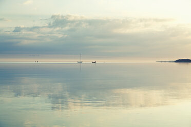 Germany, Boltenhagen, smooth sea in early morning light - MSF004698