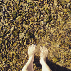 Legs in water - LVF003759