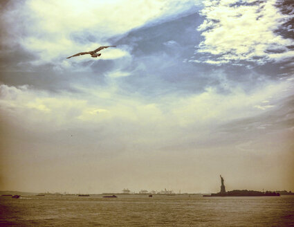 USA, New York City, Möwe fliegt in den Himmel mit Freiheitsstatue im Hintergrund - ONF000851