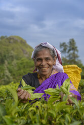 Sri Lanka, Lächelnde Frau beim Teepflücken - TOVF000011