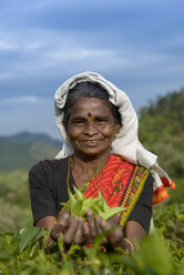 Sri Lanka, Lächelnde Frau beim Teepflücken - TOVF000012