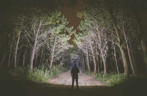 Rückenansicht eines Mannes, der nachts auf einem Waldweg steht und den Wald mit einer Taschenlampe beleuchtet, lizenzfreies Stockfoto