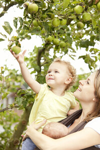 Kleines Mädchen pflückt mit Hilfe der Mutter einen Apfel vom Baum - MFRF000316