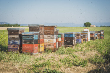 Frankreich, Alpes-de-Haute-Provence, Bienenstöcke auf einem Feld - KEBF000210