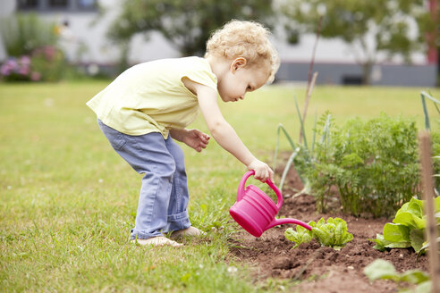 Kleines Mädchen steht im Garten und bewässert Salat - MFRF000320